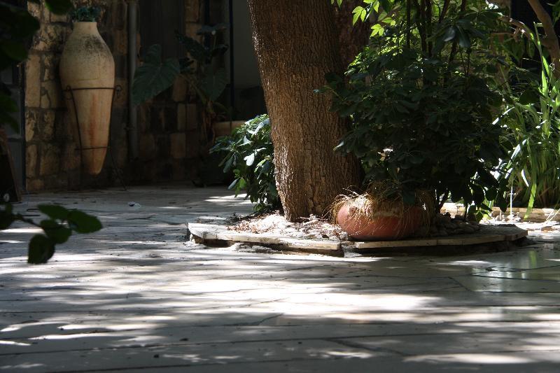 Pina Barosh Bnb Rosh Pinna Exterior photo